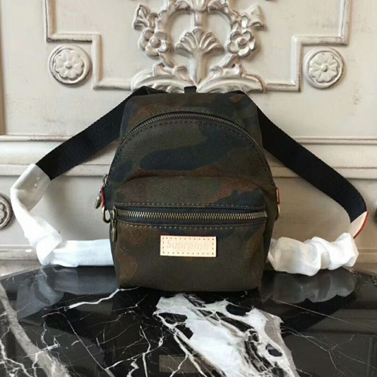 Louis Vuitton x Supreme Camo Apollo Backpack Nano M44201