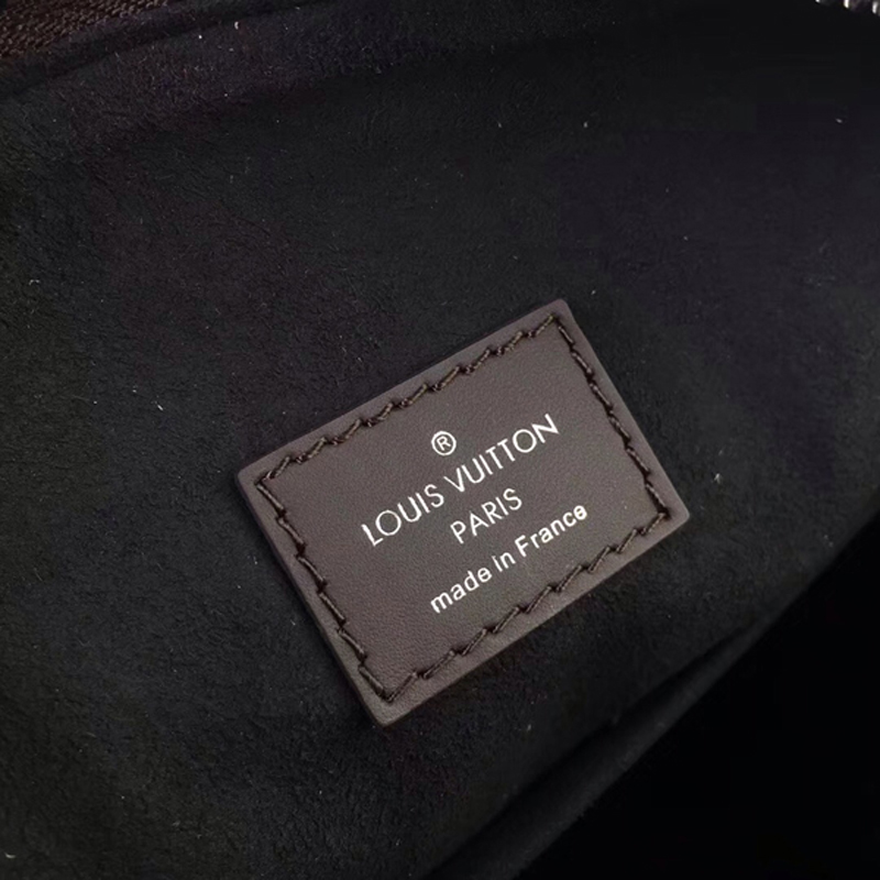 Louis Vuitton Asteria M54671 Mahina Leather