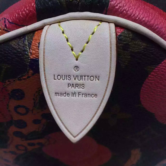 Louis Vuitton M41527 Speedy 30 Ramages Tote Bag Monogram Canvas