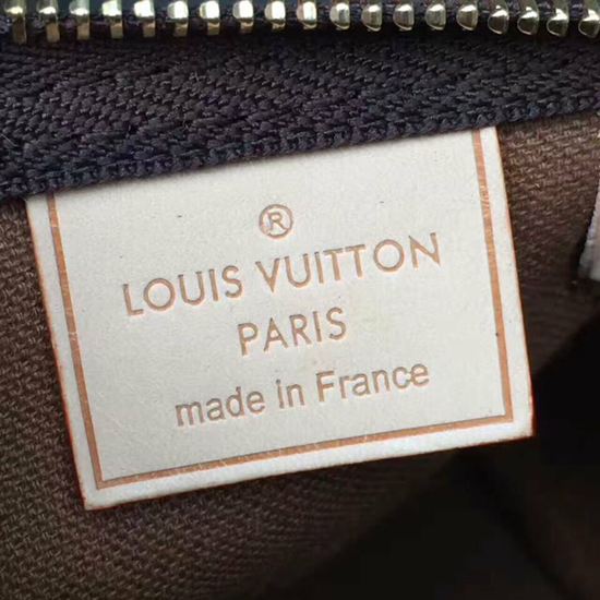 Louis Vuitton M61252 Nano Speedy Crossbody Bag Monogram Canvas