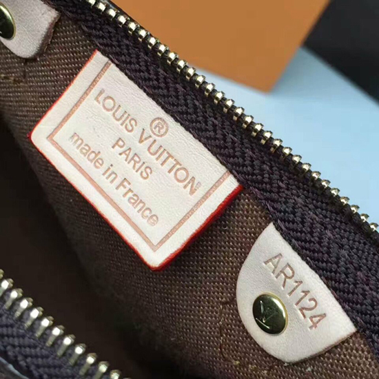 Louis Vuitton M62208 Nano Speedy Crossbody Bag Monogram Canvas
